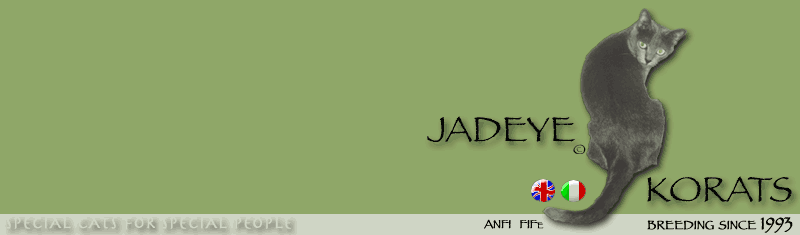 logo jadeye